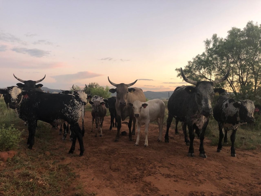 6 Bedroom Property for Sale in Remhoogte AH North West